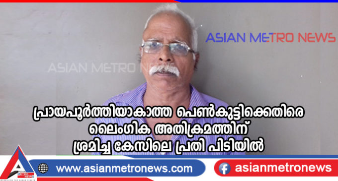 പ്രായപൂർത്തിയാകാത്ത പെൺകുട്ടിക്കെതിരെ ലൈംഗിക അതിക്രമത്തിന് ശ്രമിച്ച കേസിലെ പ്രതി പിടിയിൽ.