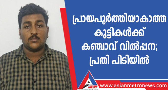 പ്രായപൂർത്തിയാകാത്ത കുട്ടികൾക്ക് കഞ്ചാവ് വിൽപ്പന; പ്രതി പിടിയിൽ