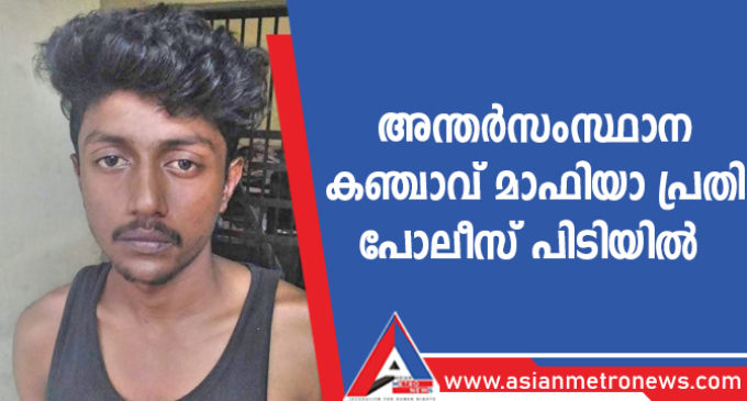അന്തർസംസ്ഥാന കഞ്ചാവ് മാഫിയാ പ്രതി പോലീസ് പിടിയിൽ