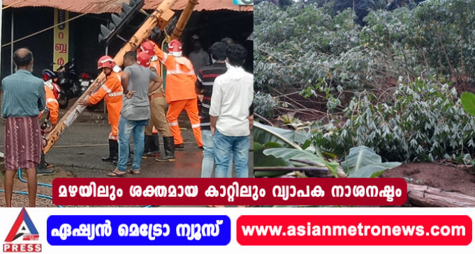 മഴയിലും ശക്തമായ കാറ്റിലും വ്യാപക നാശനഷ്ടം