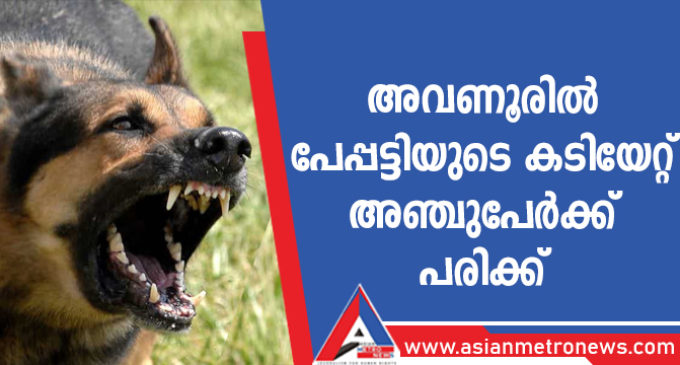 പേപ്പട്ടിയുടെ കടിയേറ്റ് അഞ്ചുപേർക്ക് പരിക്ക്