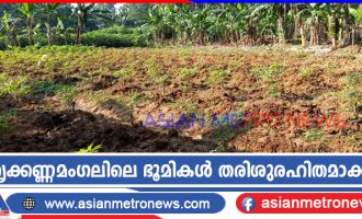 തൃക്കണ്ണമംഗലിലെ ഭൂമികൾ തരിശുരഹിതമാക്കി തൃക്കണ്ണമംഗലിലെ ഭൂമികൾ തരിശുരഹിതമാക്കി