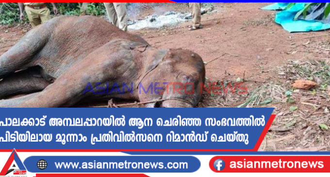 പാലക്കാട് അമ്പലപ്പാറയിൽ ആന ചെരിഞ്ഞ സംഭവത്തിൽ പിടിയിലായ മൂന്നാം പ്രതിവിൽസനെ റിമാൻഡ് ചെയ്തു