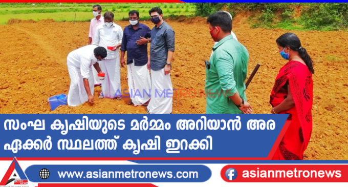 സംഘ കൃഷിയുടെ മർമ്മം അറിയാൻ അര ഏക്കർ സ്ഥലത്ത് കൃഷി ഇറക്കി