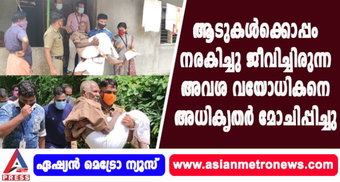 ആടുകൾക്കൊപ്പം നരകിച്ചു ജീവിച്ചിരുന്ന അവശ വയോധികനെ അധികൃതർ മോചിപ്പിച്ചു.