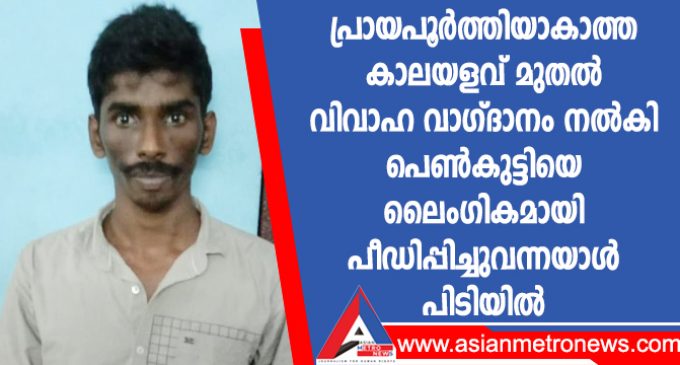 പ്രായപൂർത്തിയാകാത്ത കാലയളവ് മുതൽ വിവാഹ വാഗ്ദാനം നൽകി പെൺകുട്ടിയെ ലൈംഗികമായി പീഡിപ്പിച്ചുവന്നയാൾ പിടിയിൽ