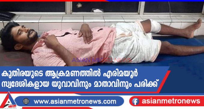 കുതിരയുടെ ആക്രമണത്തിൽ എരിമയൂർ സ്വദേശികളായ യുവാവിനും മാതാവിനും പരിക്ക്