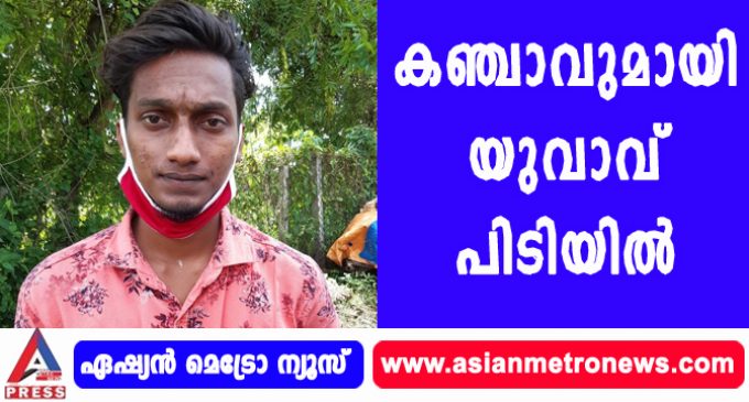 കഞ്ചാവുമായി യുവാവ് പിടിയിൽ
