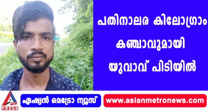 പതിനാലര കിലോഗ്രാം കഞ്ചാവുമായി യുവാവ് പിടിയിൽ