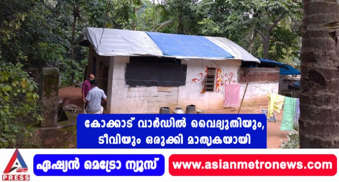 കോക്കാട് വാർഡിൽ വൈദ്യുതിയും, ടീവിയും ഒരുക്കി മാതൃകയായി.