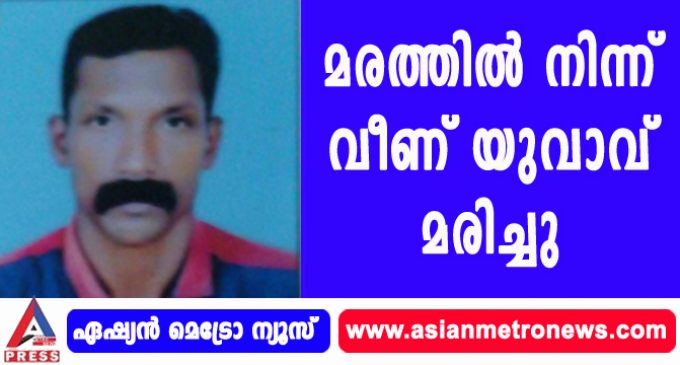 മരത്തിൽ നിന്ന് വീണ് യുവാവ് മരിച്ചു.