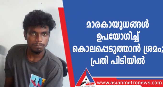മാരകായുധങ്ങൾ ഉപയോഗിച്ച് കൊലപ്പെടുത്താൻ ശ്രമം ; പ്രതി പിടിയിൽ