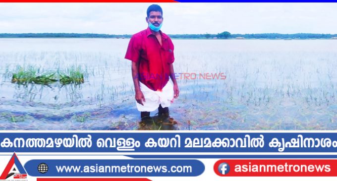കനത്തമഴയിൽ വെള്ളം കയറി മലമക്കാവിൽ കൃഷിനാശം