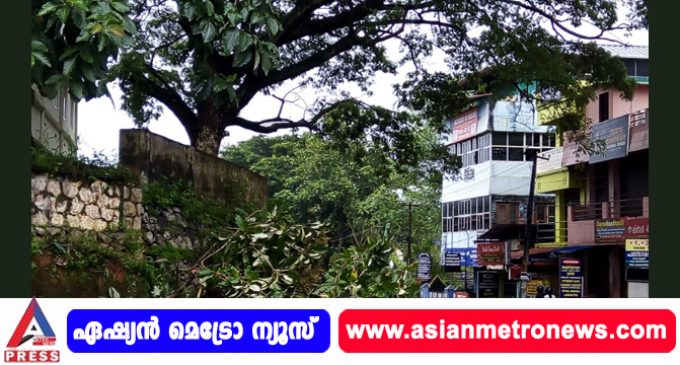 കൊട്ടാരക്കര ബോയ്സ് സ്കൂളിന് സമീപം മരം റോഡിലേക്ക് വീണു.