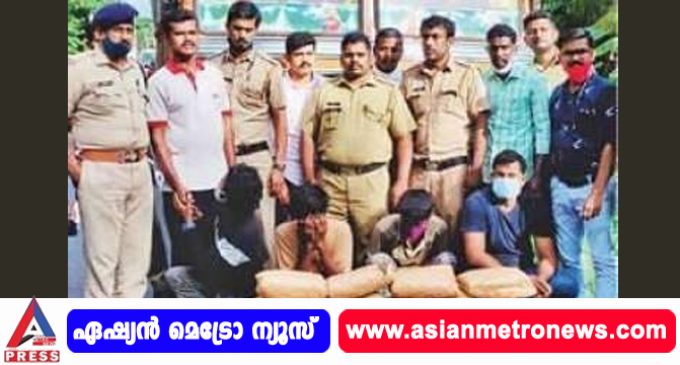 അരിലോറിയിൽ കഞ്ചാവ് കടത്ത് : 66 കി.ഗ്രാം കഞ്ചാവുമായി നാലുപേർ പിടിയിൽ.