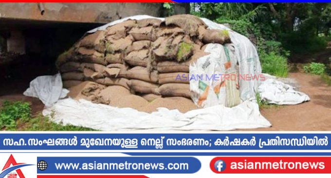 സഹ.സംഘങ്ങൾ മുഖേനയുള്ള നെല്ല് സംഭരണം; കർഷകർ പ്രതിസന്ധിയിൽ