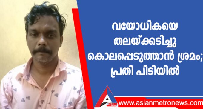 വയോധികയെ തലയ്ക്കടിച്ചു കൊലപ്പെടുത്താൻ ശ്രമം; പ്രതി പിടിയിൽ