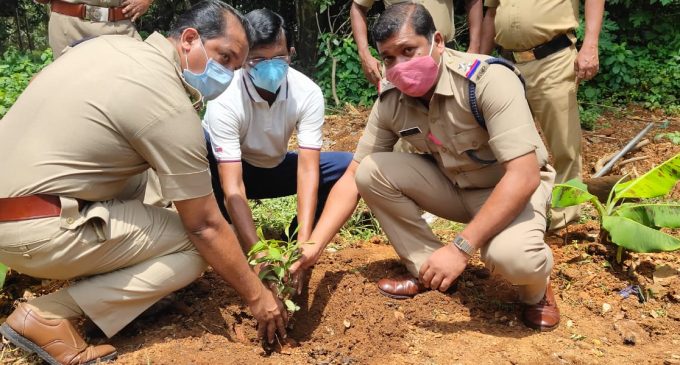 ഗാന്ധിജയന്തി ദിനത്തിൽ പട്ടാമ്പി പോലീസ് സ്റ്റേഷൻ പരിസരത്ത് ശുചീകരണവും വൃക്ഷത്തൈകൾ നടലും നടത്തി