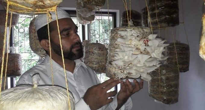 കൂൺ കൃഷിയിൽ മാതൃകയായി മസ്ജിദ് ഇമാം