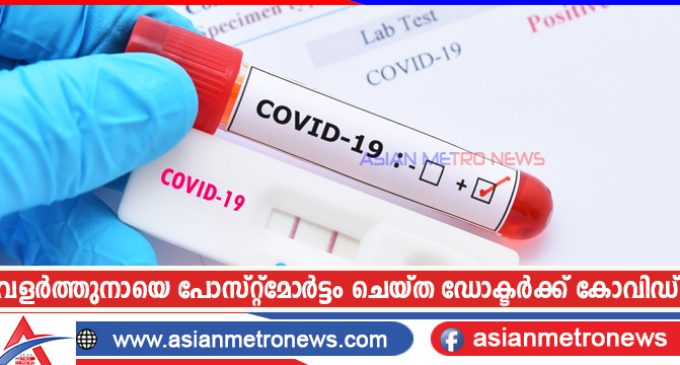 വളർത്തുനായെ പോസ്റ്റ്മോർട്ടം ചെയ്ത ഡോക്ടർക്ക് കോവിഡ്