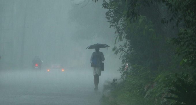 ശക്തമായ മഴയ്ക്ക് സാധ്യത; നാലു ജില്ലകളില് ഇന്ന് യെല്ലോ അലര്ട്ട്