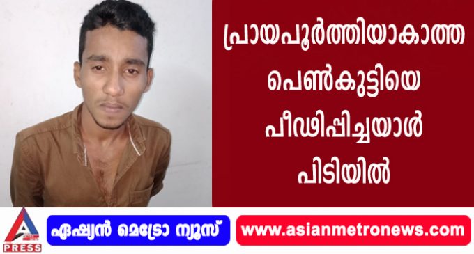 പ്രായപൂർത്തിയാകാത്ത പെൺകുട്ടിയെ പീഢിപ്പിച്ചയാൾ പിടിയിൽ