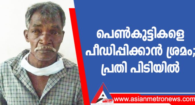 പെൺകുട്ടികളെ പീഡിപ്പിക്കാൻ ശ്രമം; പ്രതി പിടിയിൽ