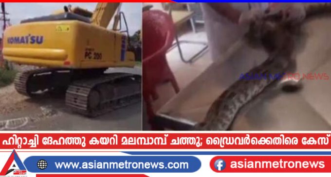 ഹിറ്റാച്ചി ദേഹത്തു കയറി മലമ്പാമ്പ് ചത്തു; ഡ്രൈവർക്കെതിരെ കേസ്