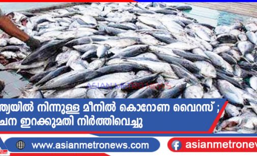 ഇന്ത്യയിൽ നിന്നുള്ള മീനിൽ കൊറോണ വൈറസ് ; ചൈന ഇറക്കുമതി നിർത്തിവെച്ചു