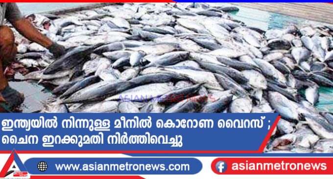 ഇന്ത്യയിൽ നിന്നുള്ള മീനിൽ കൊറോണ വൈറസ് ; ചൈന ഇറക്കുമതി നിർത്തിവെച്ചു