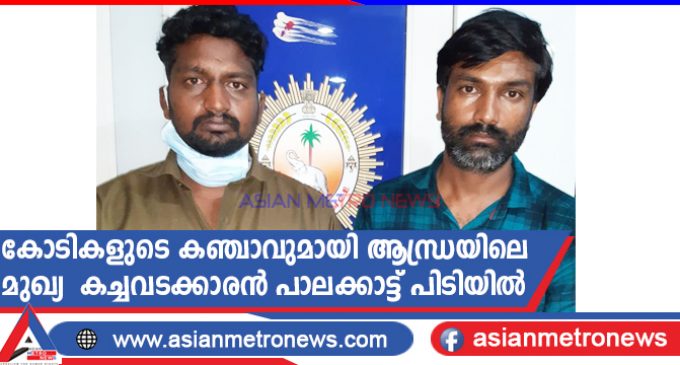 കോടികളുടെ കഞ്ചാവുമായി ആന്ധ്രയിലെ മുഖ്യ കച്ചവടക്കാരൻ പാലക്കാട്ട് പിടിയിൽ