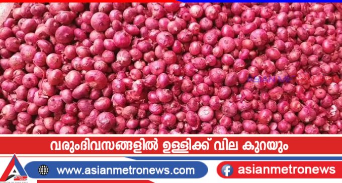 വരുംദിവസങ്ങളിൽ ഉള്ളിക്ക് വില കുറയും