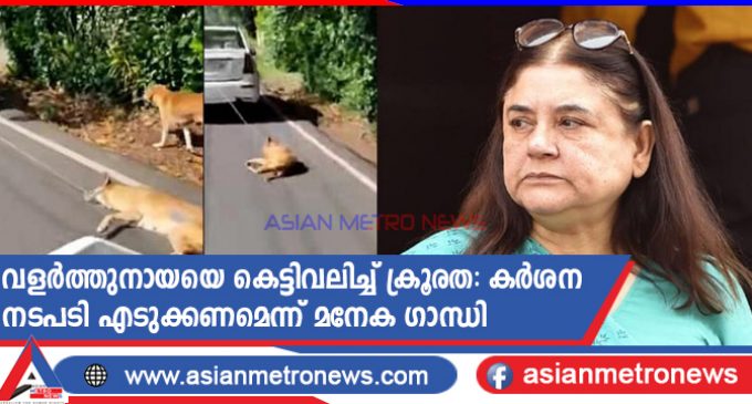 വളർത്തുനായയെ കെട്ടിവലിച്ച് ക്രൂരത: കർശന നടപടി എടുക്കണമെന്ന് മനേക ഗാന്ധി
