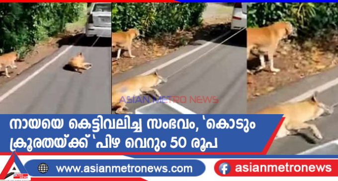 നായയെ കെട്ടിവലിച്ച സംഭവം, ‘കൊടും ക്രൂരതയ്ക്ക് ‘പിഴ വെറും 50 രൂപ