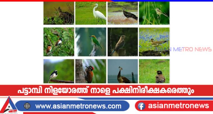 പട്ടാമ്പി നിളയോരത്ത് നാളെ പക്ഷിനിരീക്ഷകരെത്തും