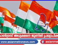 കോൺഗ്രസ് അധ്യക്ഷനെ ജൂണിൽ പ്രഖ്യാപിക്കും
