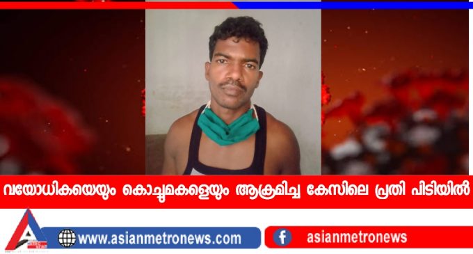 വയോധികയെയും കൊച്ചുമകളെയും ആക്രമിച്ച കേസിലെ പ്രതി പിടിയിൽ