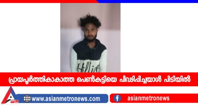 പ്രായപൂർത്തികാകാത്ത പെൺകുട്ടിയെ പീഢിപ്പിച്ചയാൾ പിടിയിൽ