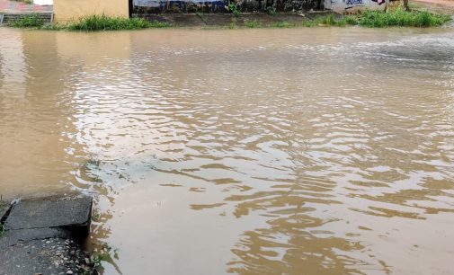 പെരുമഴയിൽ തുരുത്തുകൾ മുങ്ങി