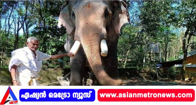 പാപ്പാൻ ഓമനച്ചേട്ടന് അന്ത്യാഞ്ജലി നൽകി;ബ്രഹ്മദത്തൻ