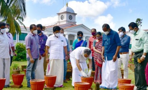 ഇക്കൊല്ലവും ഓണത്തിന് മുറം നിറയെ പച്ചക്കറി വിളയും സെക്രട്ടേറിയറ്റ് അങ്കണത്തിൽ