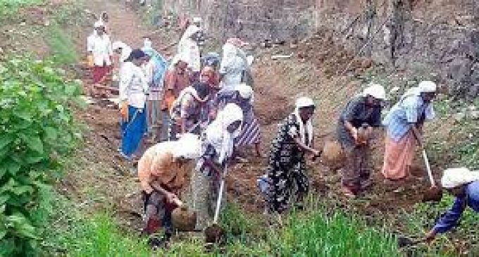 തൊഴിലുറപ്പ് പദ്ധതിയിലൂടെ തൊഴിലും വരുമാനവും സൃഷ്ടിക്കും: മന്ത്രി എം.വി ഗോവിന്ദൻ