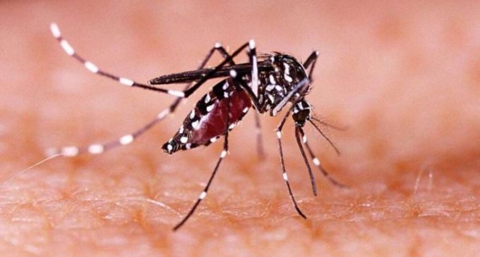 സിക്ക ഭീതി; ജില്ലയില് ജാഗ്രതാ നിര്ദേശം പുറപ്പെടുവിപ്പിച്ചു
