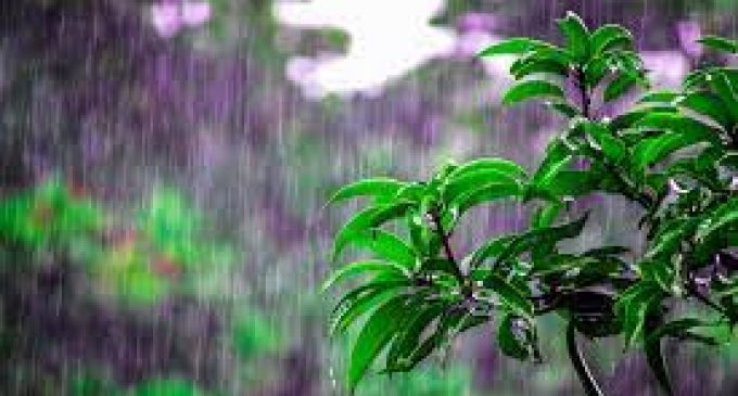 കേരളത്തില് അതിതീവ്രമഴയ്ക്ക് സാധ്യതയെന്ന് കാലാവസ്ഥാ വകുപ്പ്