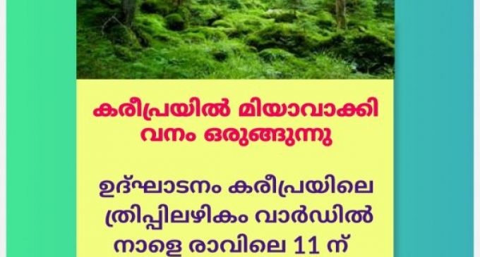 കരീപ്രയില് മിയാവാക്കി വനം ഒരുക്കുന്നു