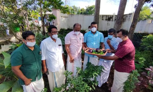 ഹരിതാഭമായി ക്യാമ്പ് ഓഫീസ്;വിളവെടുത്ത് മന്ത്രി