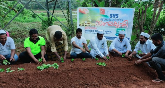 വിളയൂർ സർക്കിളിൽ എസ് വൈ എസ് സംഘകൃഷിക്ക് തുടക്കമായി