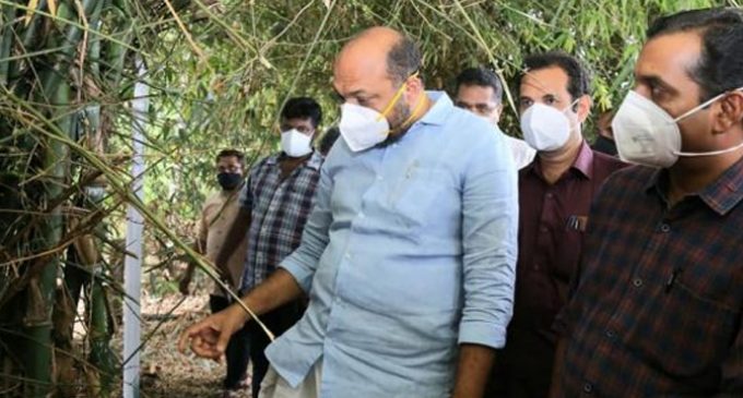 മുള മേഖലയ്ക്ക് പ്രാധാന്യം കൊടുക്കുന്ന സമീപനമാണ് സര്ക്കാരിന്റേത്: മന്ത്രി