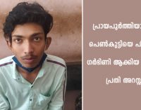 പ്രായപൂർത്തിയാകാത്ത പെൺകുട്ടിയെ പീഡിപ്പിച്ചു ഗർഭിണി ആക്കിയ കേസ്സിലെ പ്രതി അറസ്റ്റിൽ