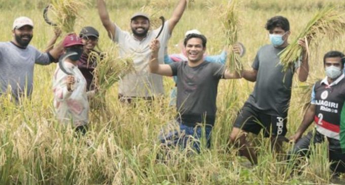 കൊയ്യാം, കൊയ്ത്ത് പഠിക്കാം; കടമക്കുടി വില്ലേജ് ഫെസ്റ്റിന് തുടക്കം